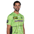 Wesley Austin Agar - australia Professional Cricketer | StatStrike